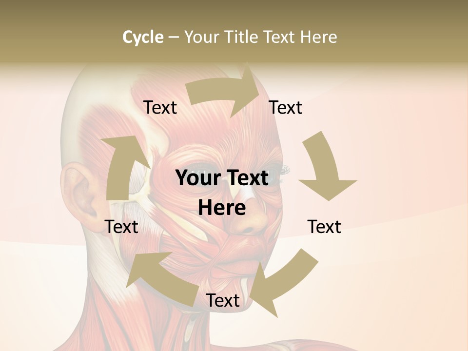 Biology Doctor Human PowerPoint Template