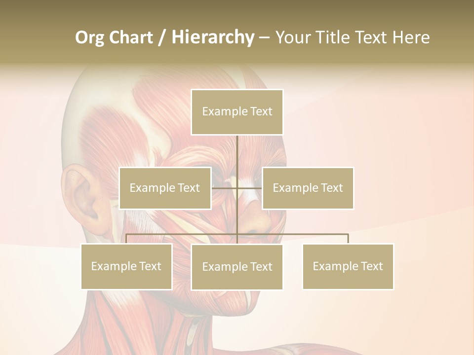 Biology Doctor Human PowerPoint Template