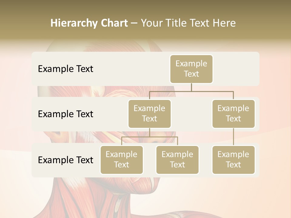 Biology Doctor Human PowerPoint Template