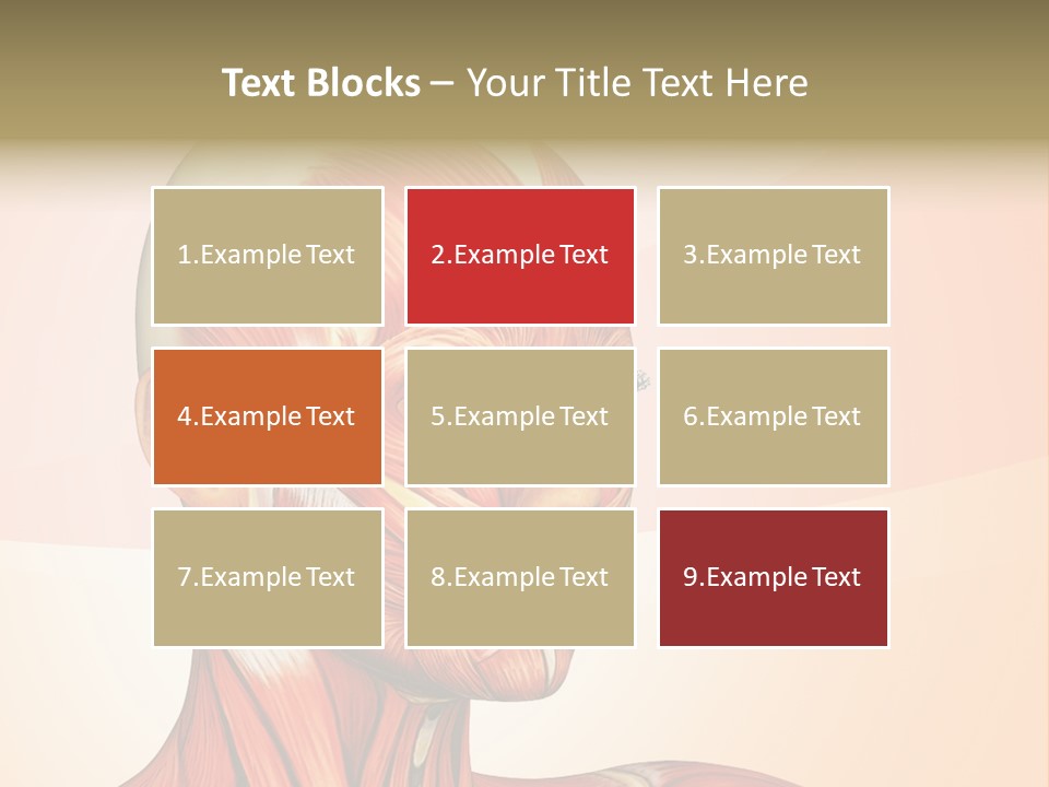Biology Doctor Human PowerPoint Template