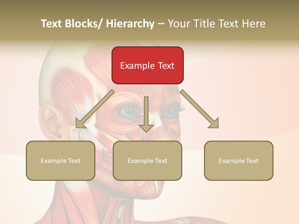Biology Doctor Human PowerPoint Template