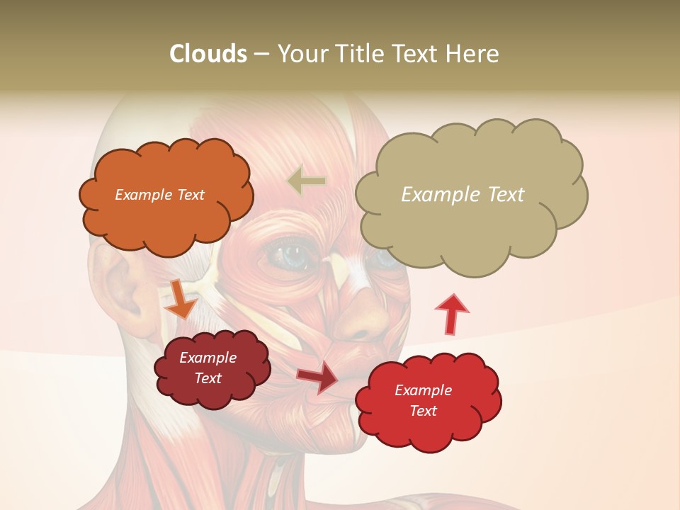 Biology Doctor Human PowerPoint Template