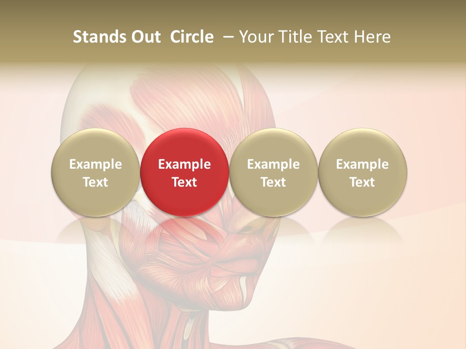 Biology Doctor Human PowerPoint Template