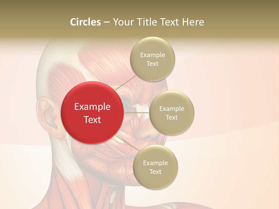 Biology Doctor Human PowerPoint Template