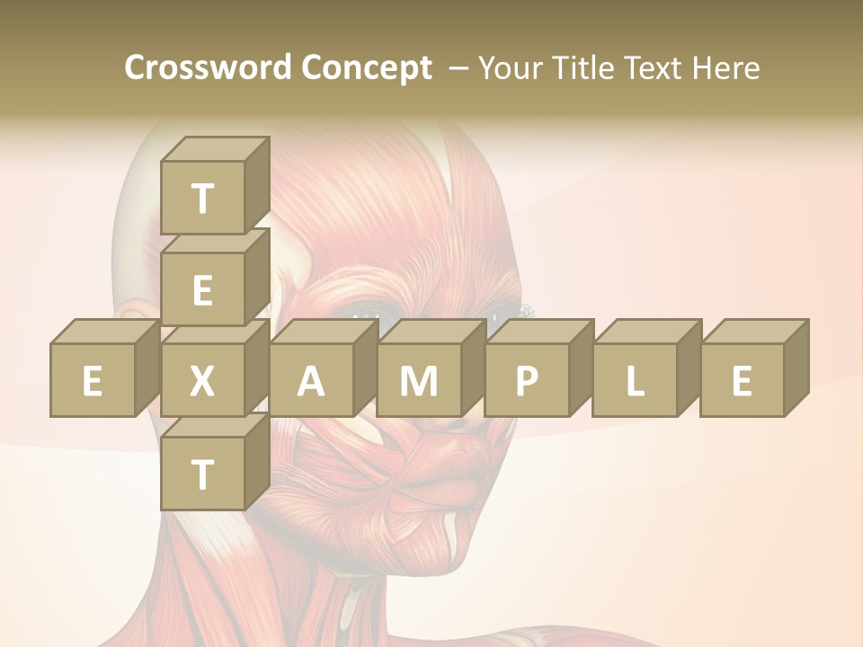 Biology Doctor Human PowerPoint Template