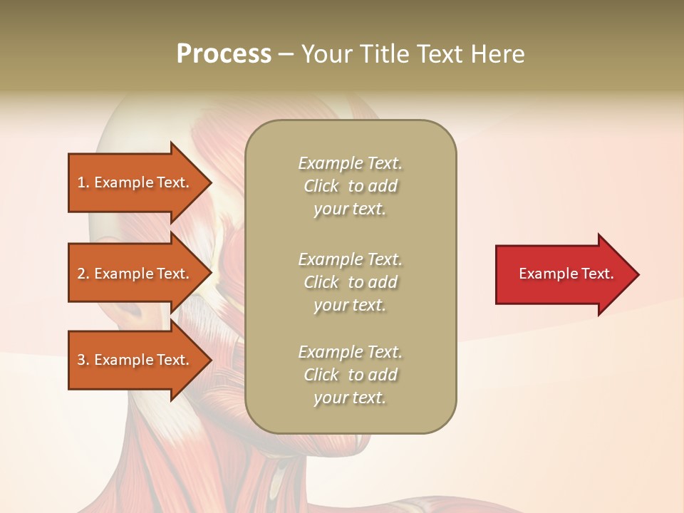 Biology Doctor Human PowerPoint Template