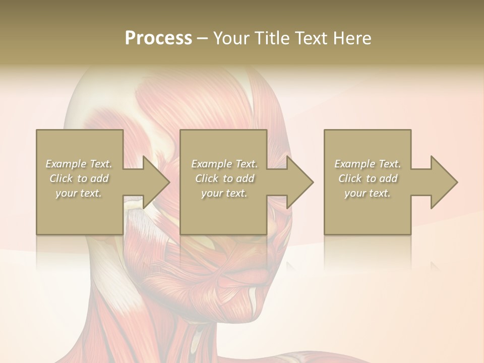 Biology Doctor Human PowerPoint Template