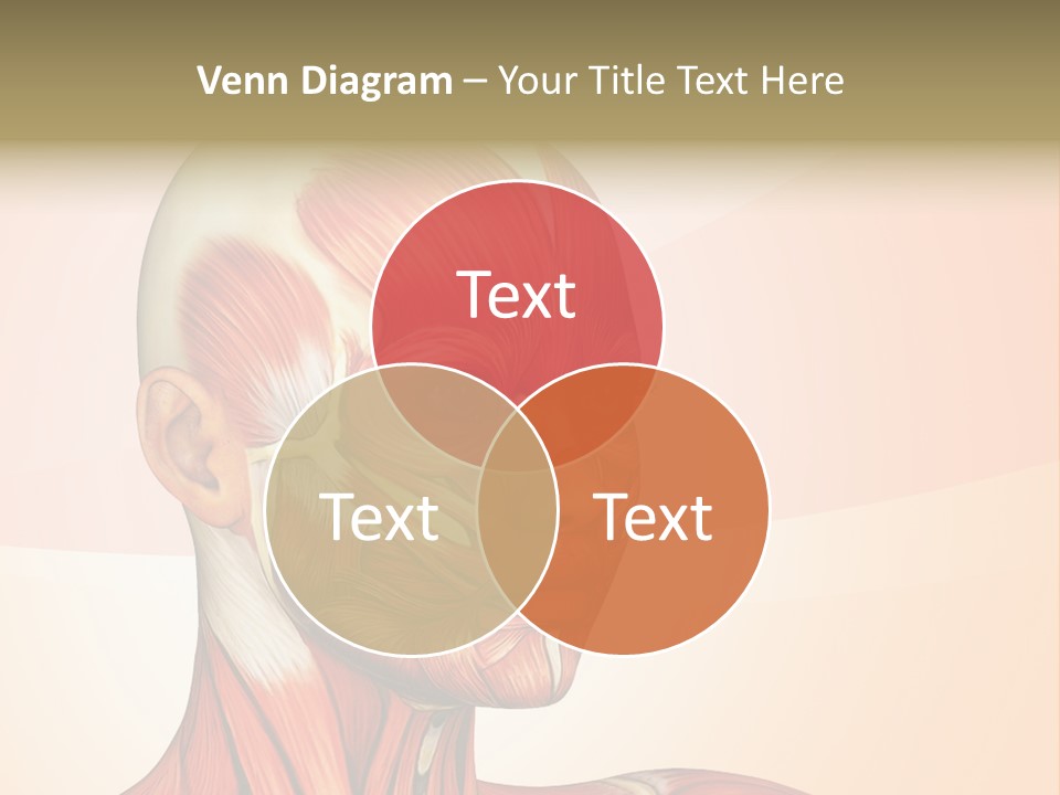 Biology Doctor Human PowerPoint Template