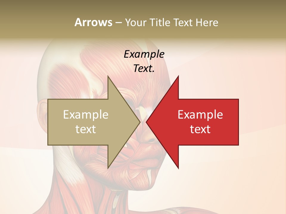 Biology Doctor Human PowerPoint Template