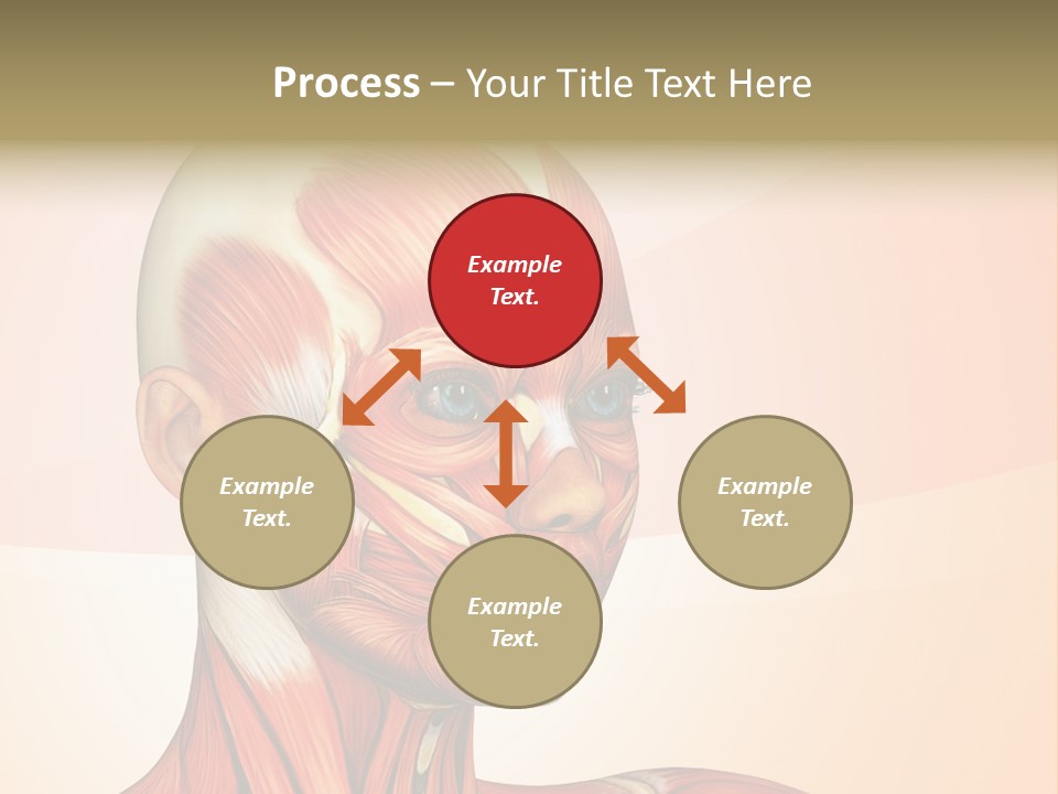 Biology Doctor Human PowerPoint Template