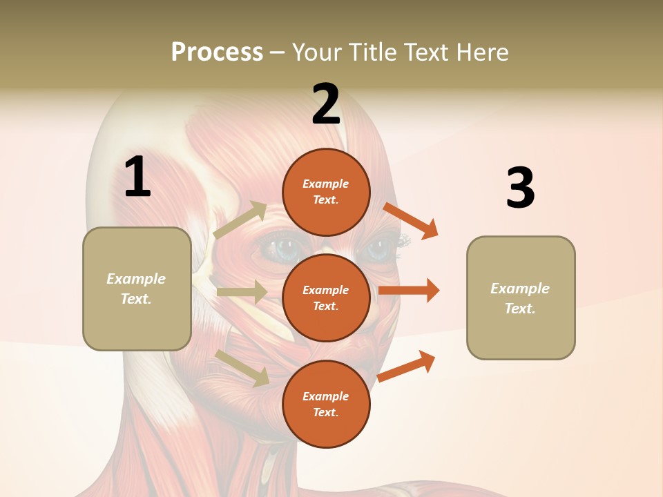 Biology Doctor Human PowerPoint Template