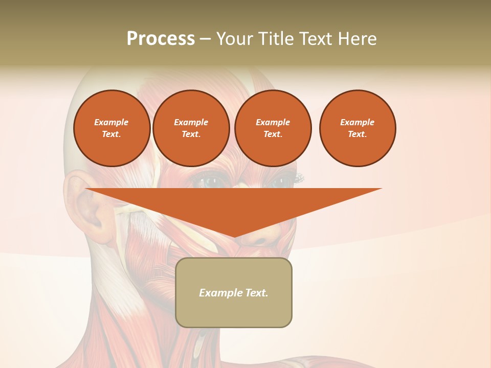 Biology Doctor Human PowerPoint Template
