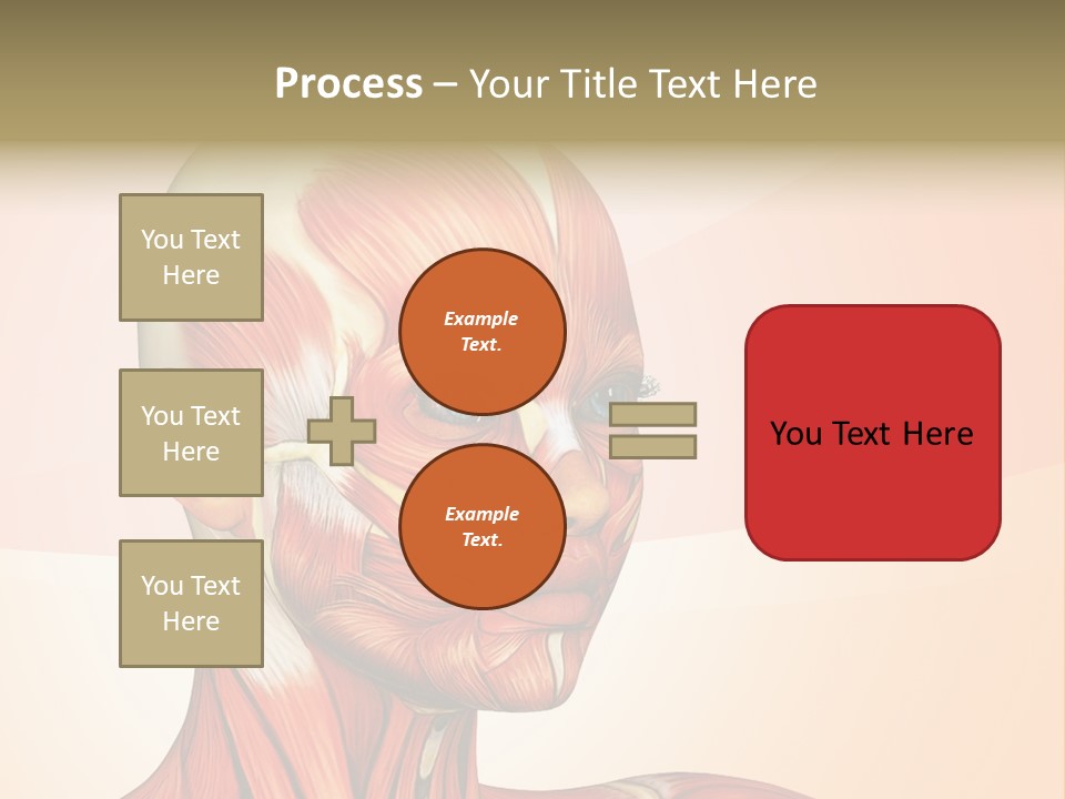 Biology Doctor Human PowerPoint Template