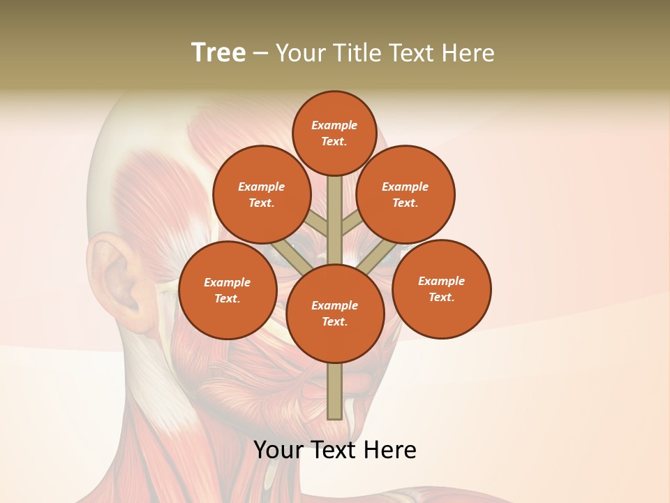 Biology Doctor Human PowerPoint Template