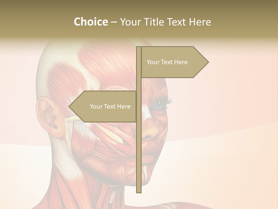 Biology Doctor Human PowerPoint Template