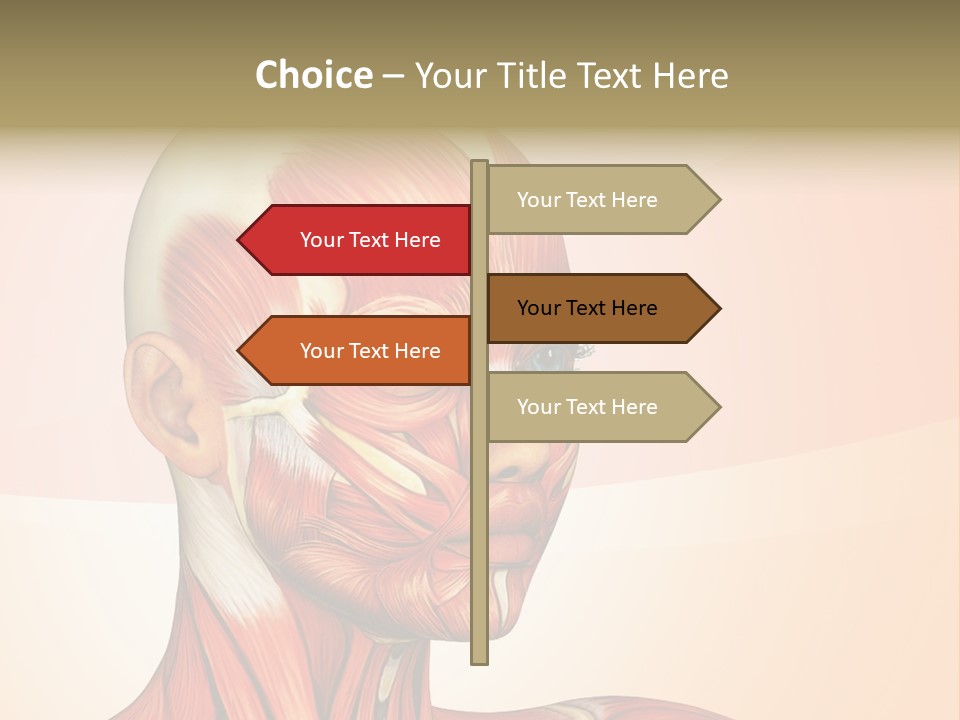 Biology Doctor Human PowerPoint Template
