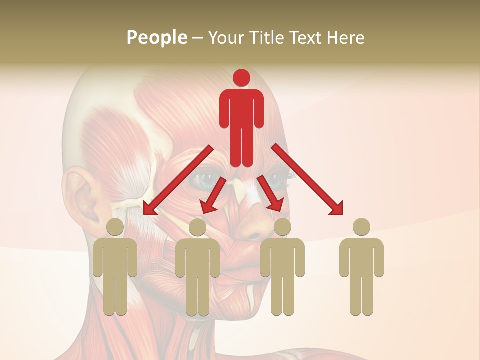 Biology Doctor Human PowerPoint Template