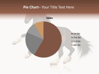 Mane Jumping Clydesdale PowerPoint Template