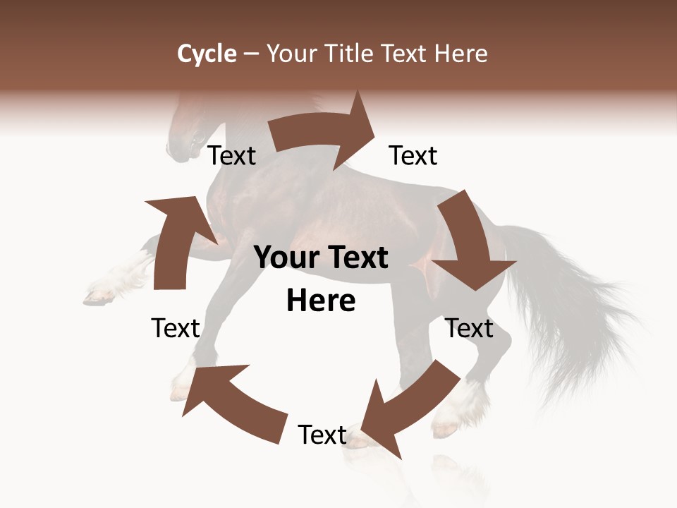 Mane Jumping Clydesdale PowerPoint Template