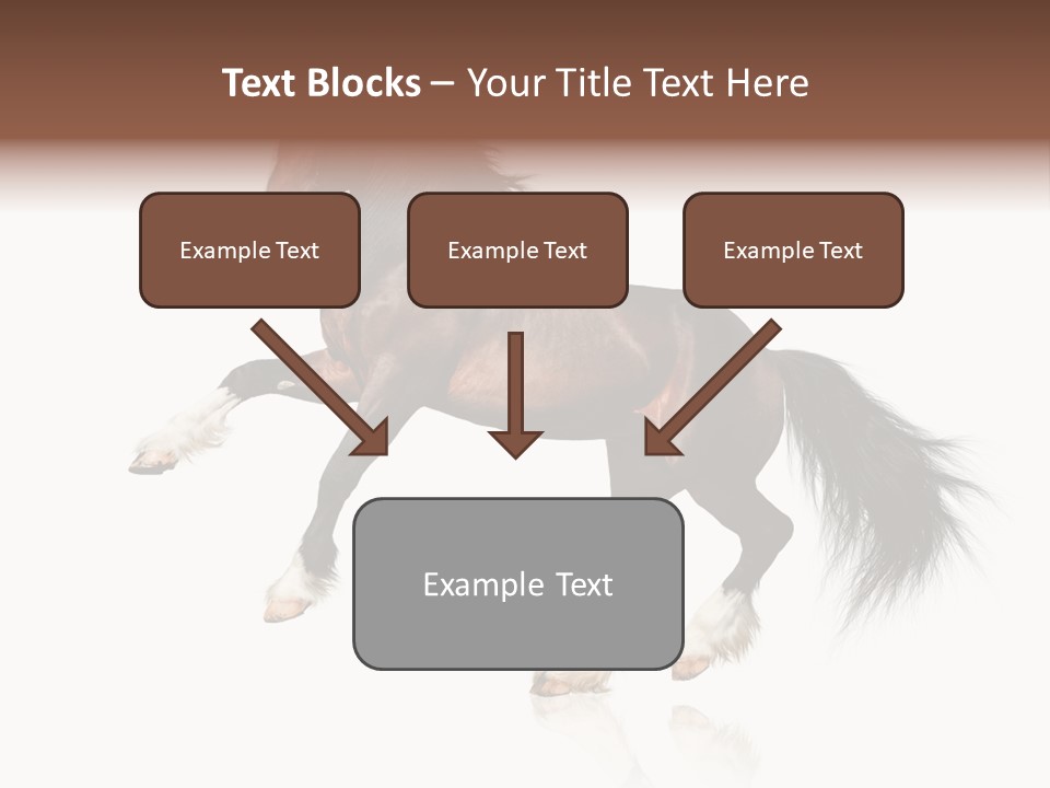 Mane Jumping Clydesdale PowerPoint Template