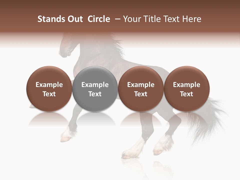 Mane Jumping Clydesdale PowerPoint Template