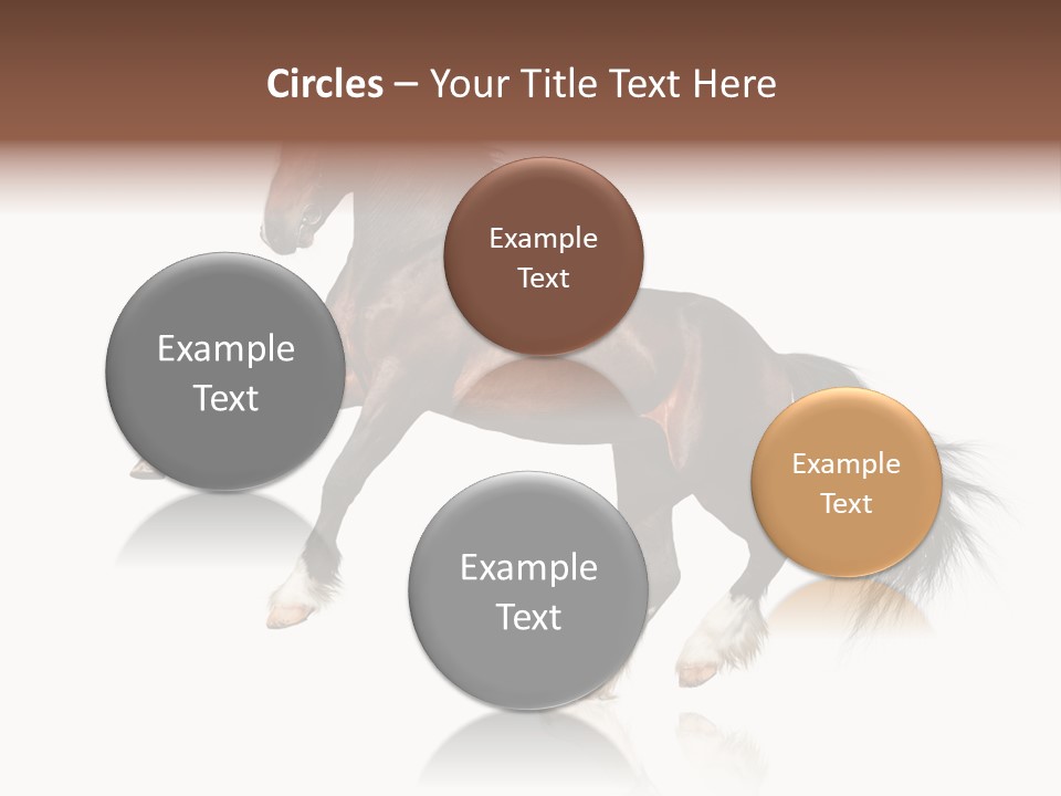 Mane Jumping Clydesdale PowerPoint Template