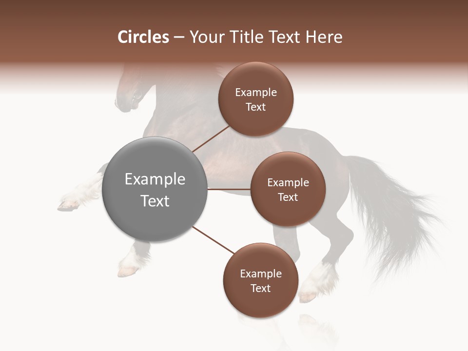 Mane Jumping Clydesdale PowerPoint Template
