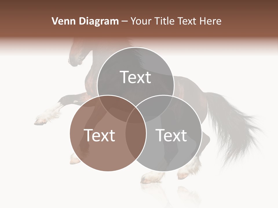 Mane Jumping Clydesdale PowerPoint Template