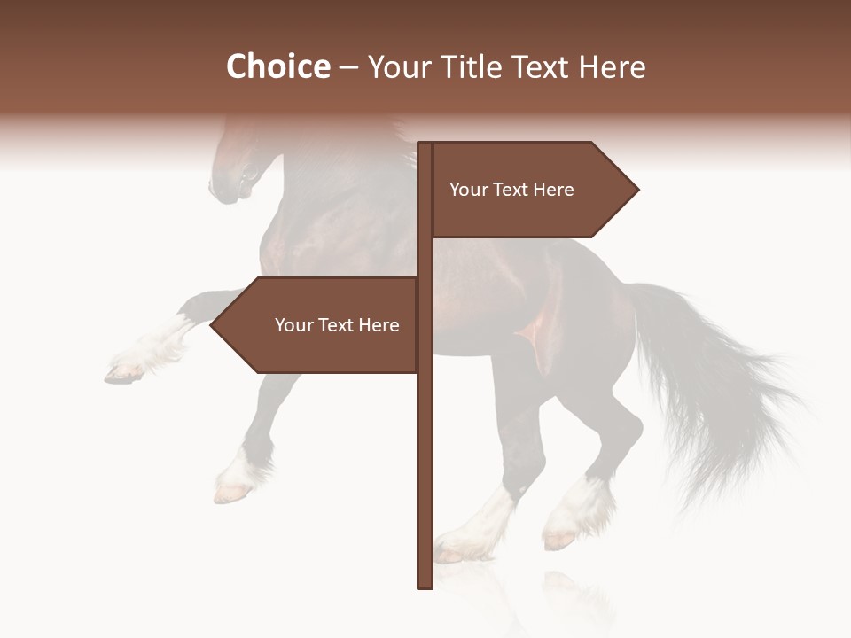 Mane Jumping Clydesdale PowerPoint Template