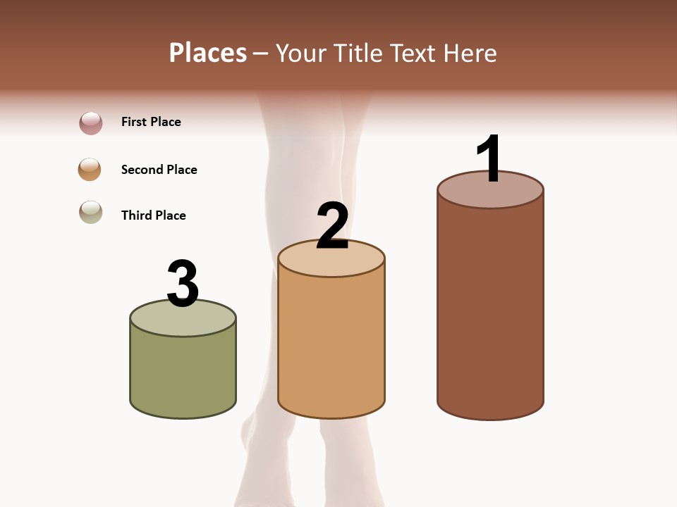 Skincare Shape Skin PowerPoint Template