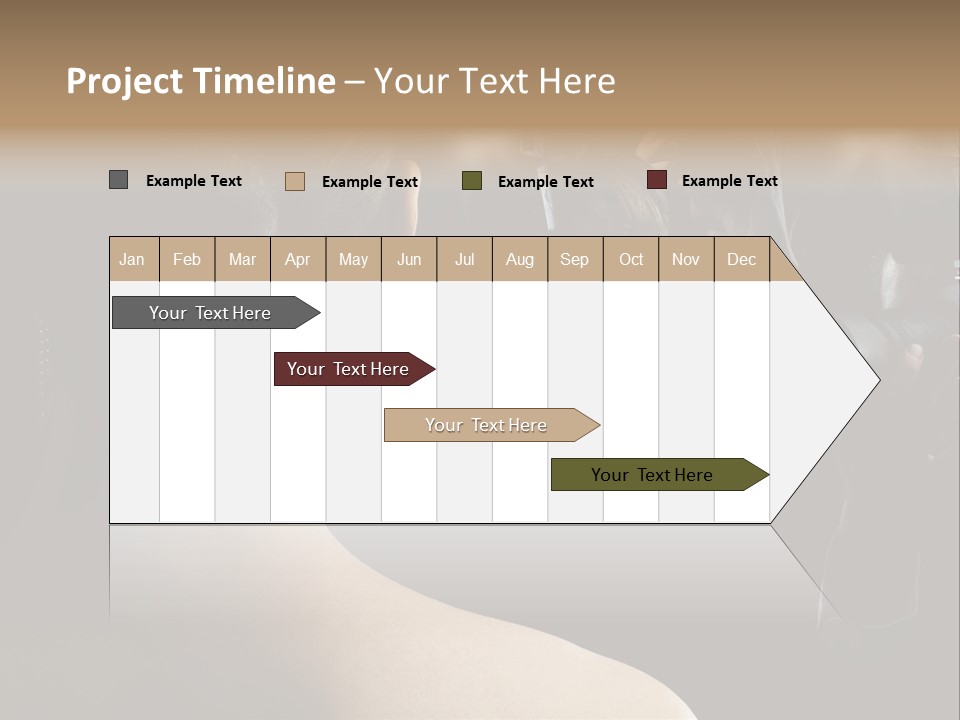 Idol Success Correspondent PowerPoint Template
