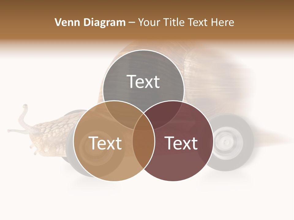 Smart Hurtle Competition PowerPoint Template