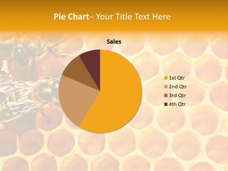 Macro Beehive Working PowerPoint Template