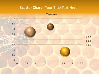 Macro Beehive Working PowerPoint Template