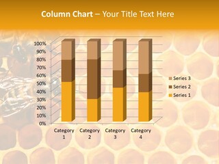 Macro Beehive Working PowerPoint Template