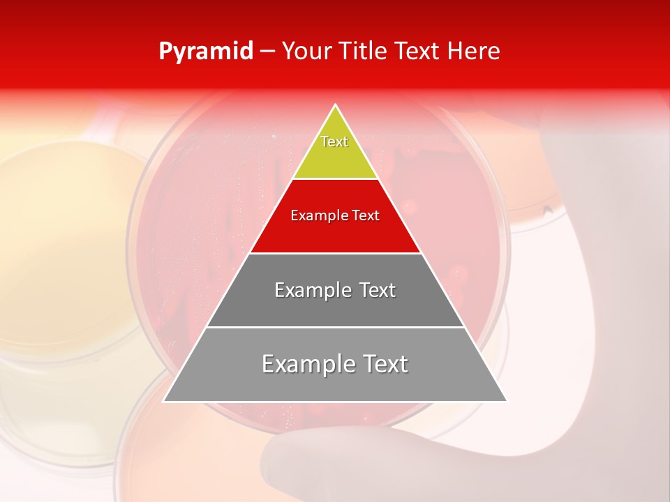 Virus Clinical Disease PowerPoint Template