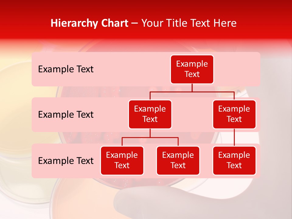 Virus Clinical Disease PowerPoint Template