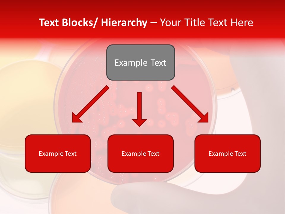Virus Clinical Disease PowerPoint Template