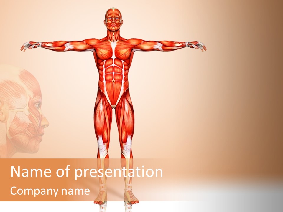 Naked Biology Human PowerPoint Template