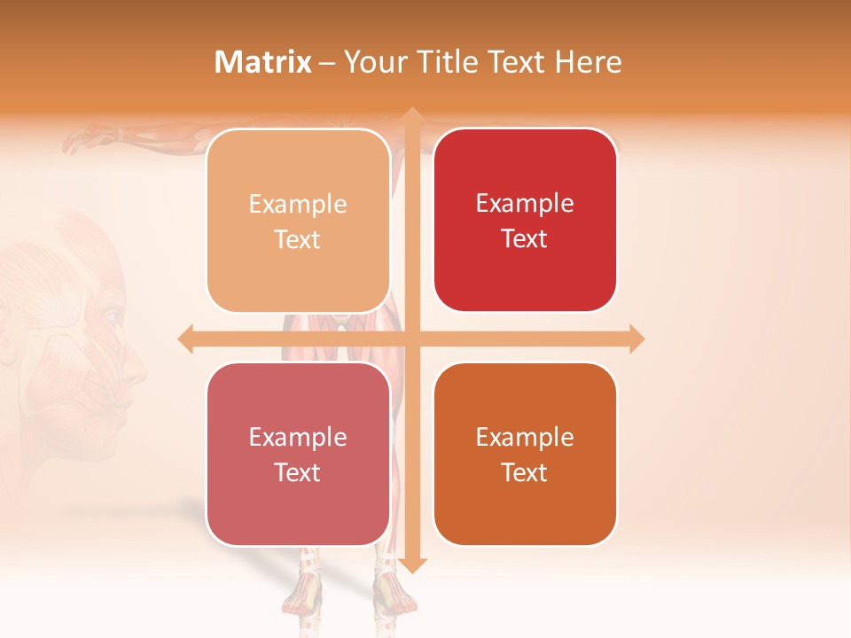 Naked Biology Human PowerPoint Template