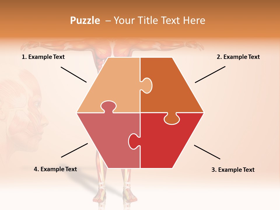 Naked Biology Human PowerPoint Template
