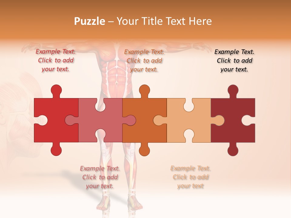 Naked Biology Human PowerPoint Template