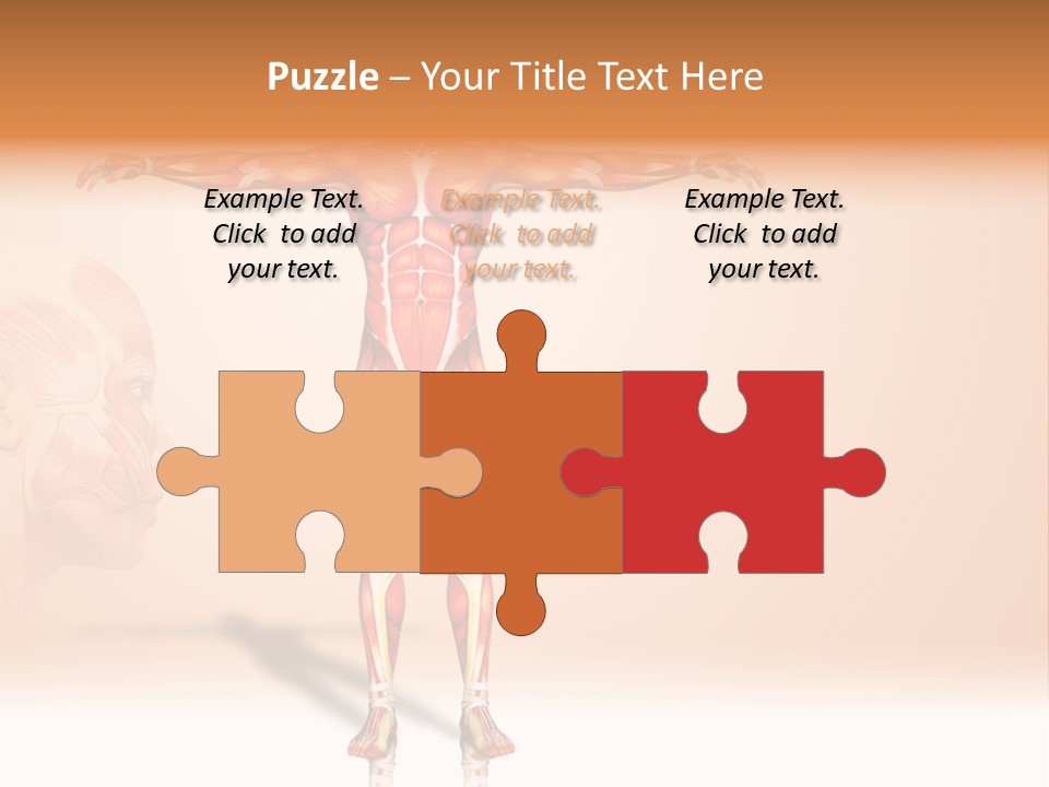 Naked Biology Human PowerPoint Template