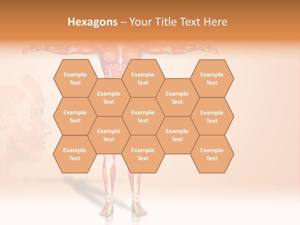 Naked Biology Human PowerPoint Template