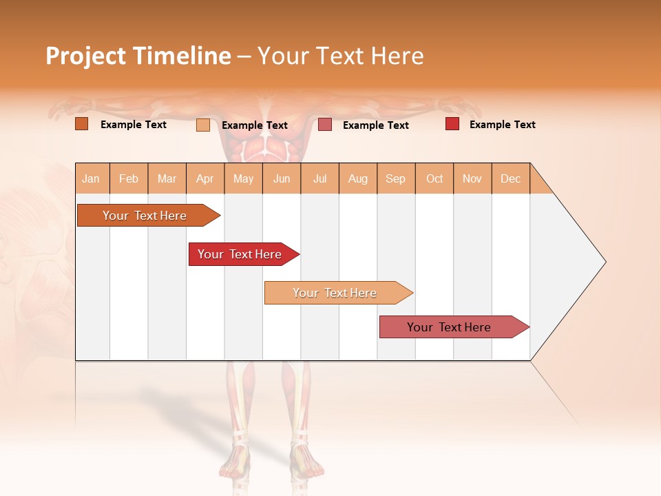 Naked Biology Human PowerPoint Template