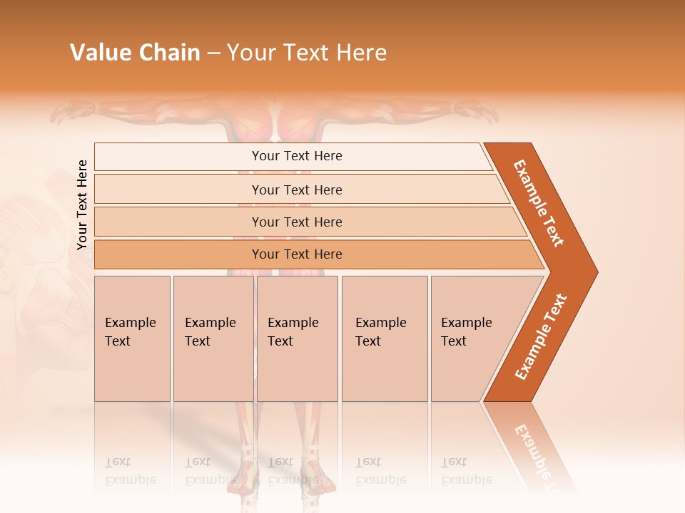 Naked Biology Human PowerPoint Template