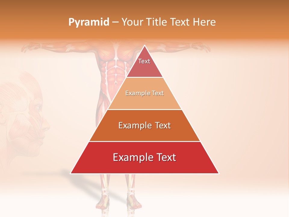 Naked Biology Human PowerPoint Template