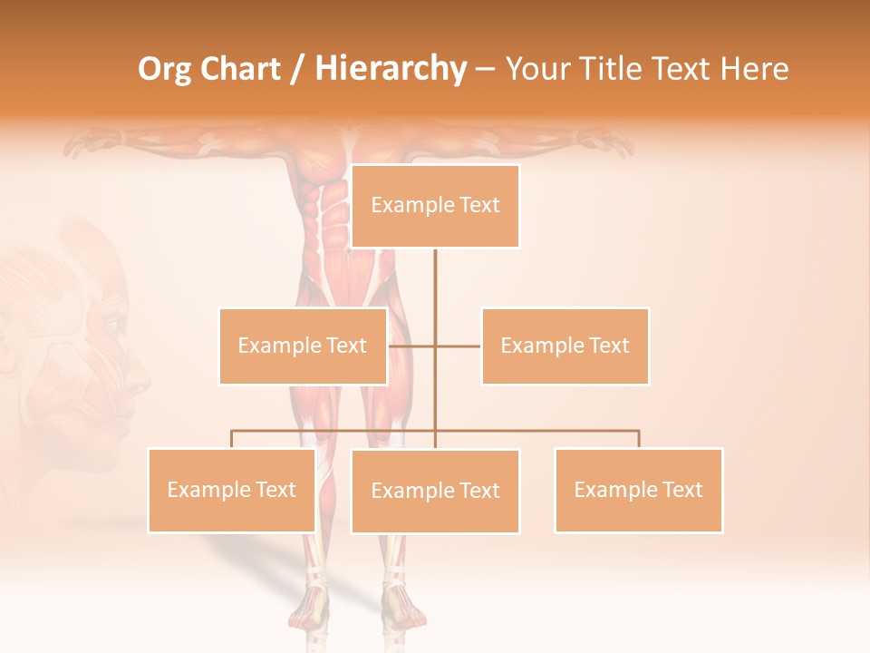 Naked Biology Human PowerPoint Template