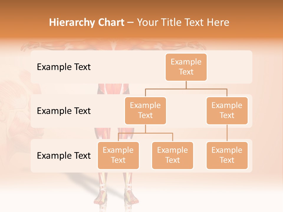 Naked Biology Human PowerPoint Template