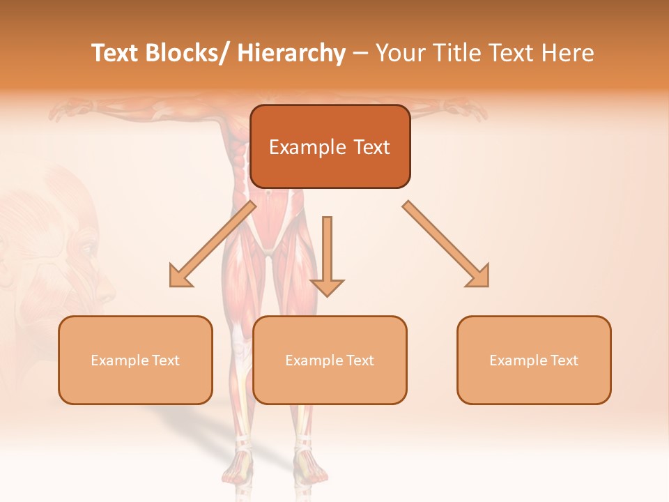 Naked Biology Human PowerPoint Template